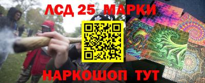 СК Шахты