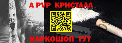 СК Шахты
