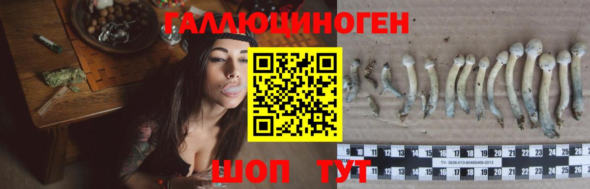 Галлюциногенные грибы Psilocybine cubensis  Вход с VPN  Котовск 